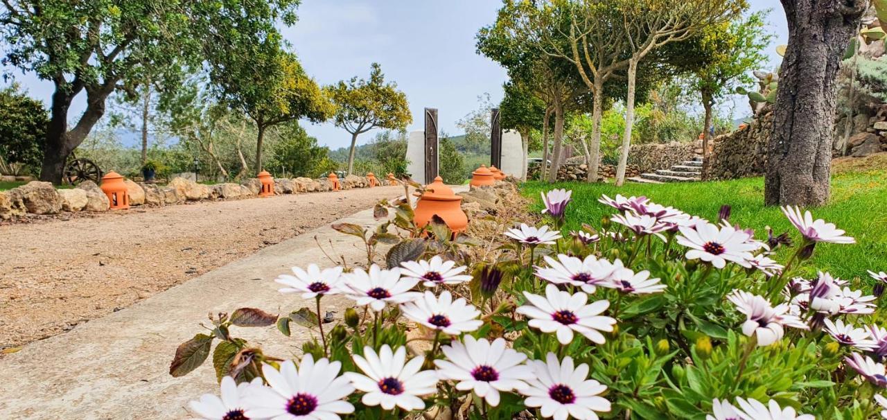 Agroturismo Can Marquet - Adults Only Santa Gertrudis  Εξωτερικό φωτογραφία