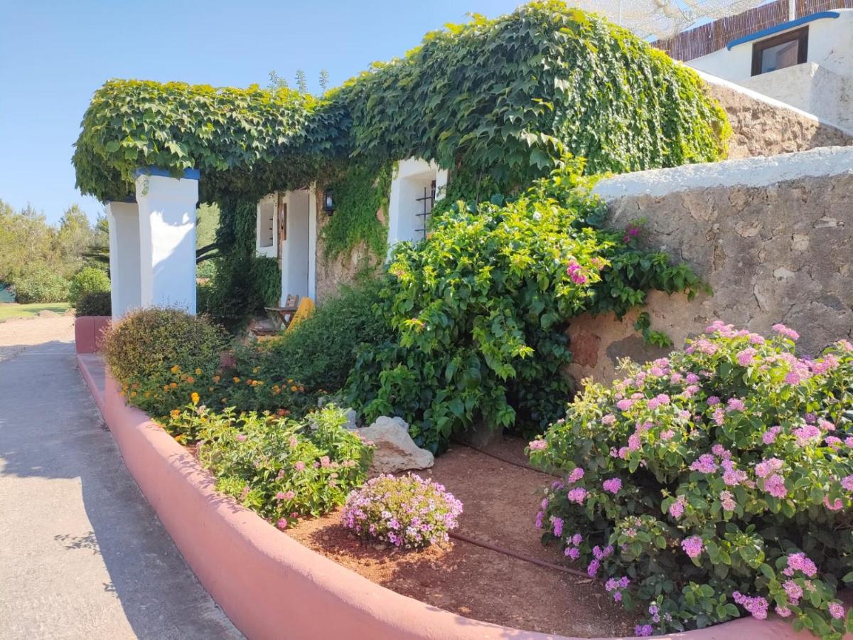 Agroturismo Can Marquet - Adults Only Santa Gertrudis  Εξωτερικό φωτογραφία